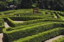 Bellingham Maze