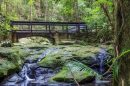 Kondalilla National Park