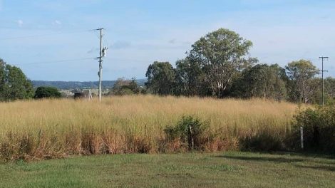 Arrawatta Lookout