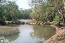 Caboolture Arboretum