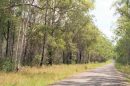 Caloundra Conservation Park