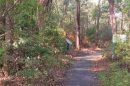 Currimundi Lake (kathleen Mcarthur) Conservation Park