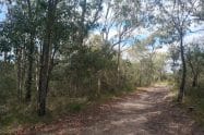 Mooloolah River National Park - Fishing & Walks, Qld