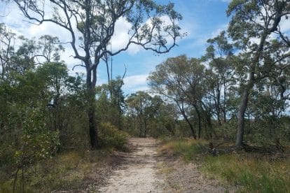 Mooloolah River National Park - Fishing & Walks, Qld