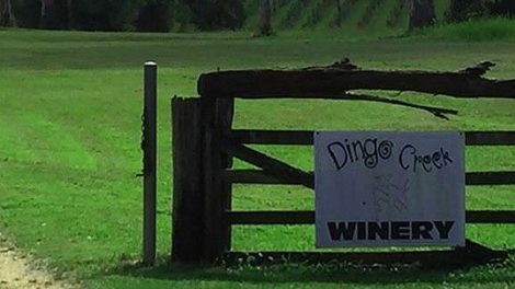 Dingo Creek Vineyard