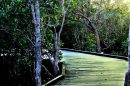 Maroochy Wetland Sanctuary