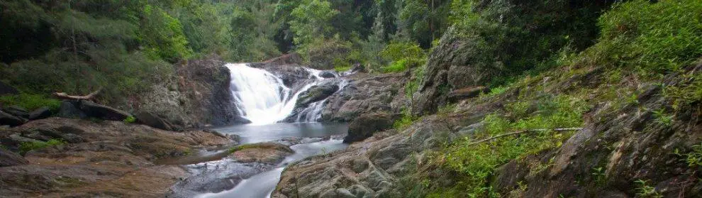 Conondale National Park - 4WD, Camping & Map, Qld