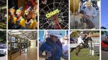 Sunshine Coast Agricultural Show