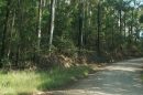 Maleny National Park