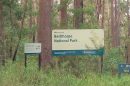 Bellthorpe National Park