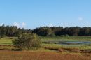 Buckley’s Hole Conservation Park