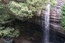 Buderim Waterfall