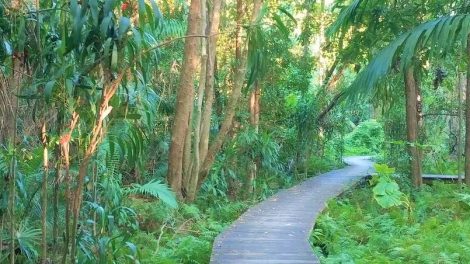 Yaroomba Park