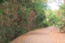 Point Cartwright Coastal Walkway