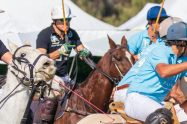 Polo By The Sea Sunshine Coast 6 1