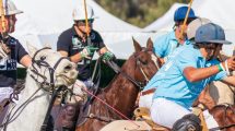 Polo By The Sea Sunshine Coast 6 1