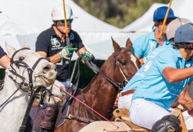 Polo By The Sea Sunshine Coast 6 1